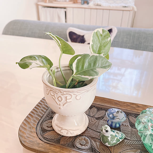 akiko-ovさんの部屋