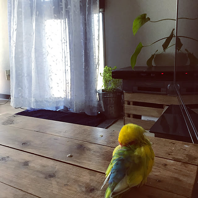 keinagen91さんの実例写真