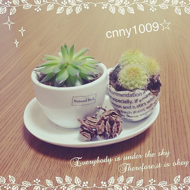 cnny1009さんの実例写真
