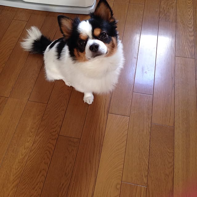 m.tさんの実例写真