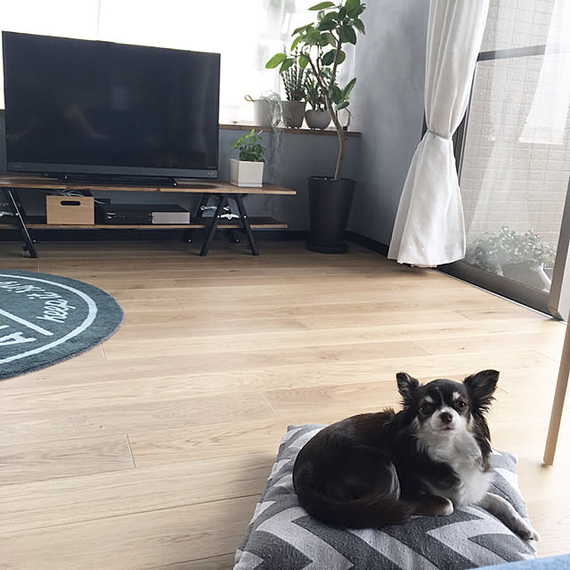 sakkiy37さんの実例写真