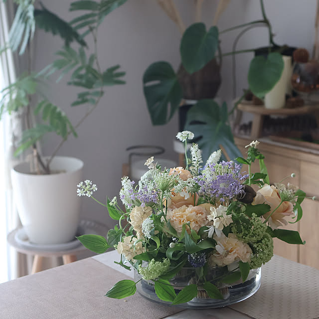 Summerさんの部屋