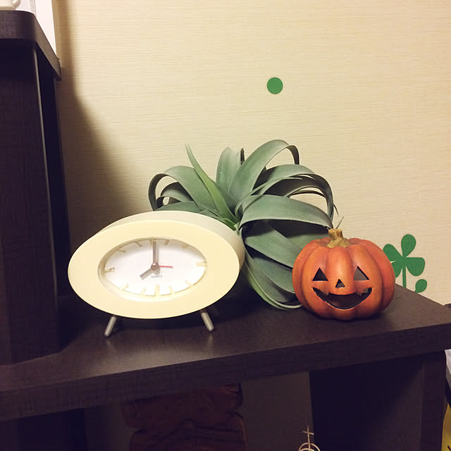 asariさんの実例写真
