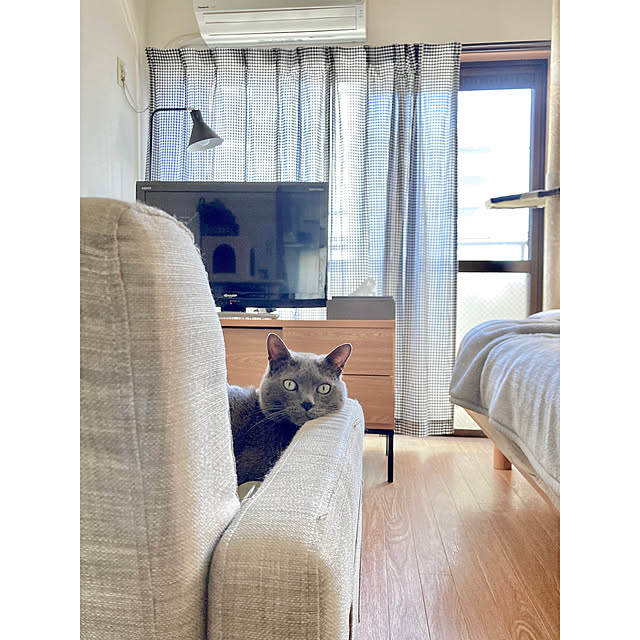 hiさんの実例写真