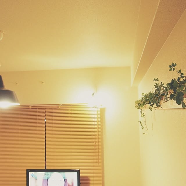 yumenyanさんの実例写真