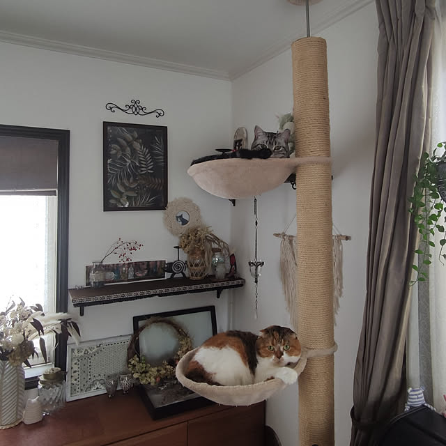hiro3さんの実例写真