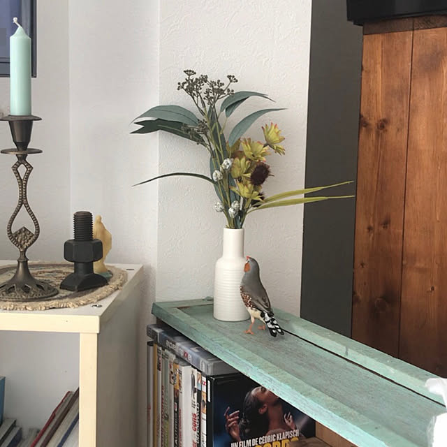 oiseauxさんの部屋