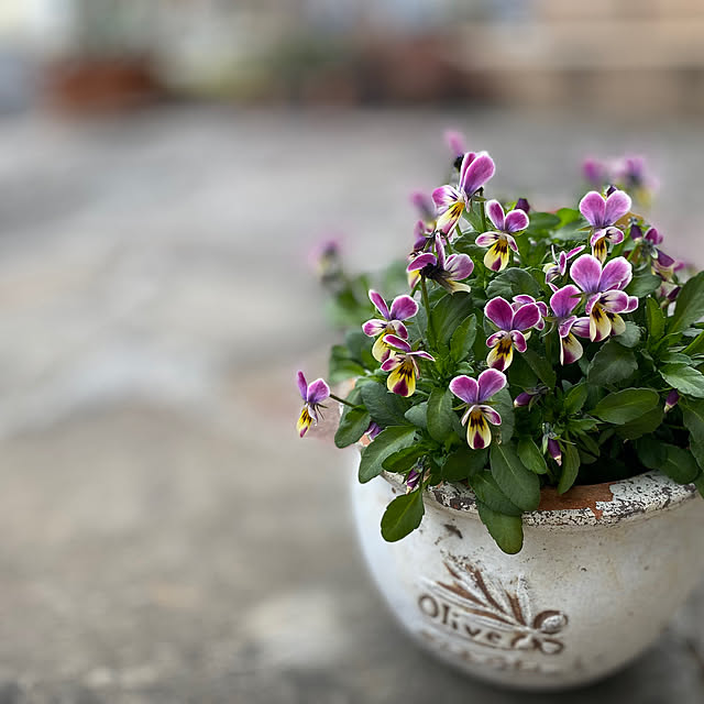 niconさんの実例写真