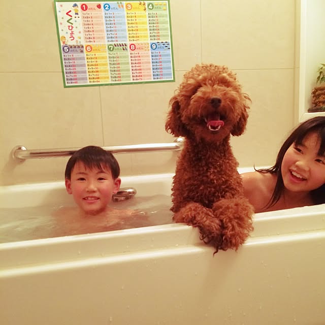 naoさんの実例写真