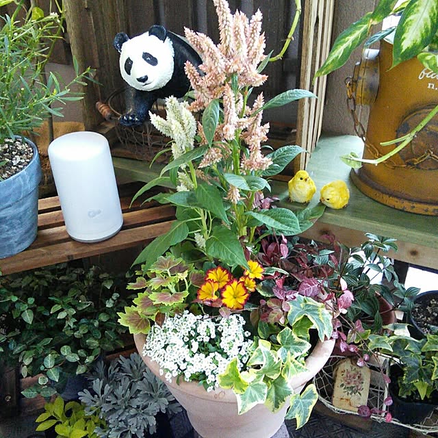 lovepandaさんの実例写真