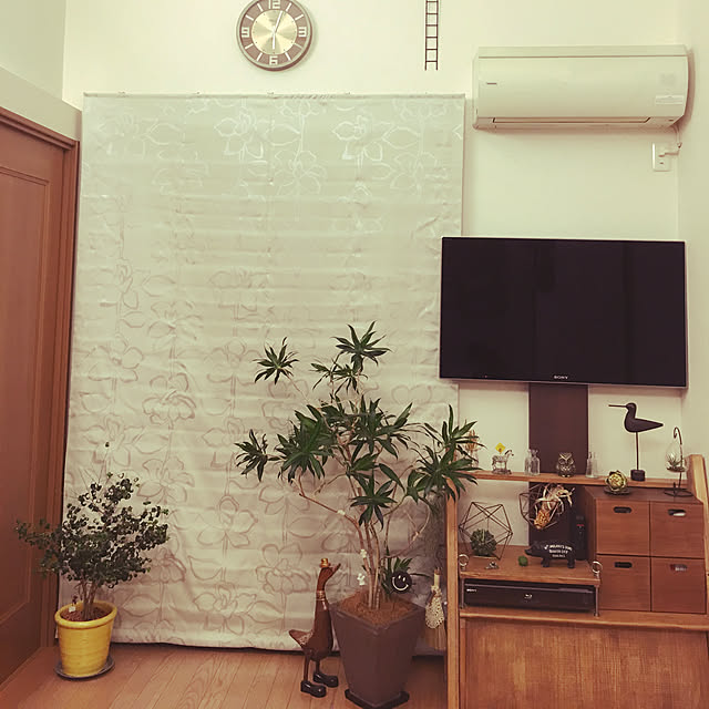 akoさんの実例写真