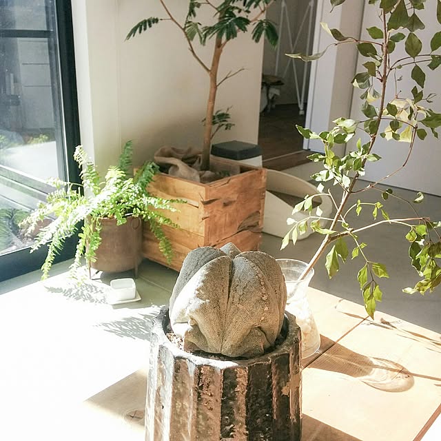 KEIさんの実例写真
