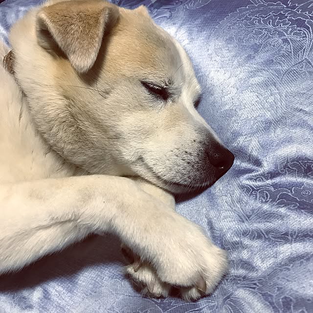 masu...さんの実例写真