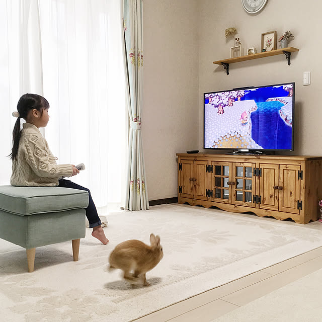 Michiさんの実例写真