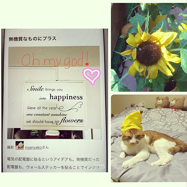 nyanyakoさんの実例写真