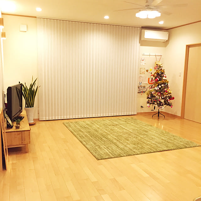 Annさんの実例写真
