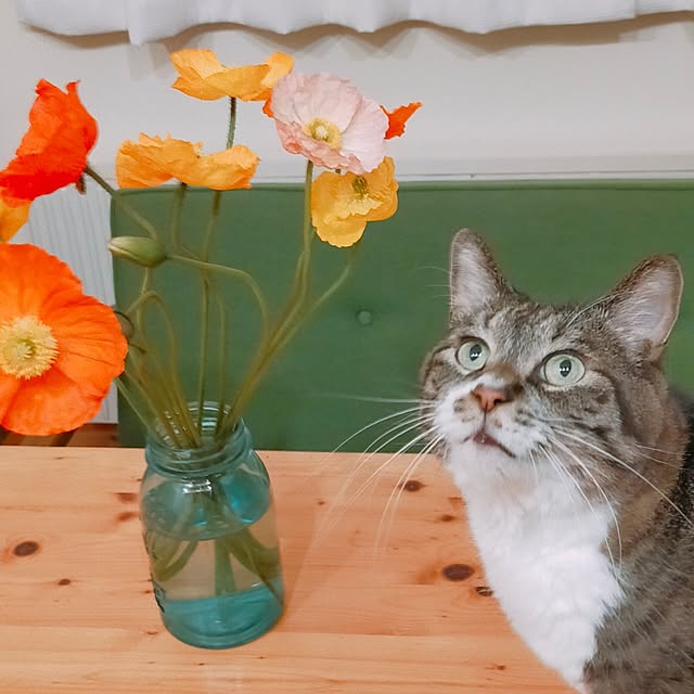 arrsさんの実例写真