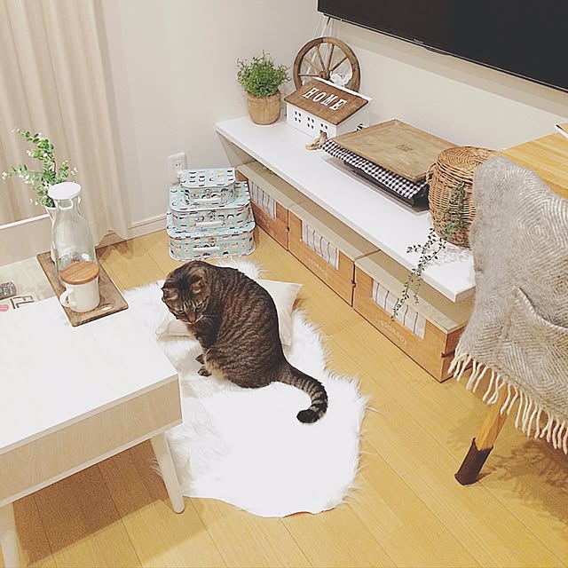 lovecatさんの実例写真
