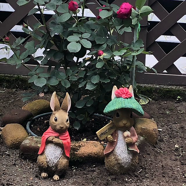kumakichiさんの実例写真