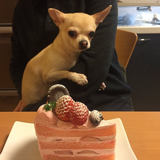 キッチンのインテリア実例 - 2017-03-15 19:45:08