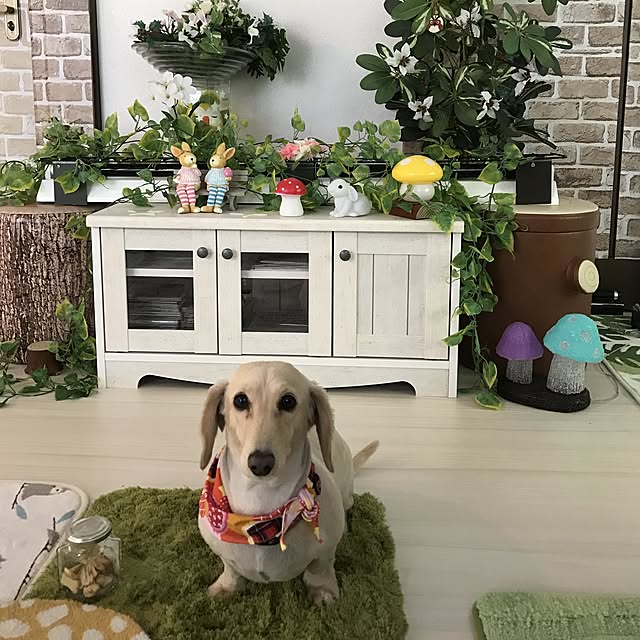 hechanさんの実例写真