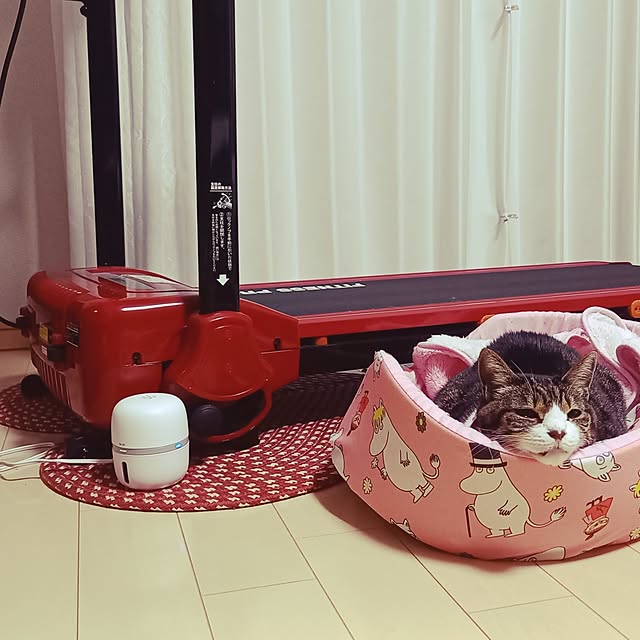 civicglさんの部屋