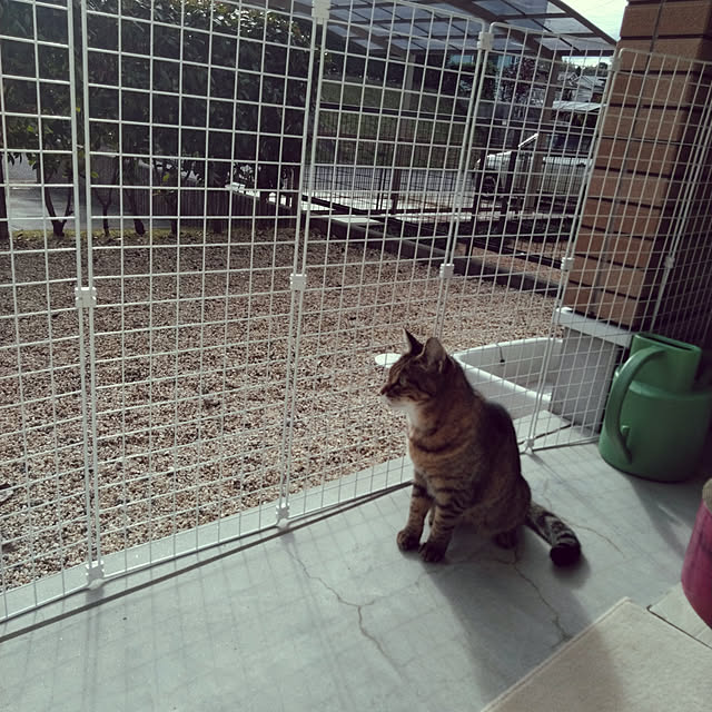lilyさんの実例写真