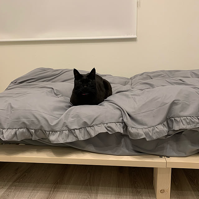 black_cat911さんの実例写真