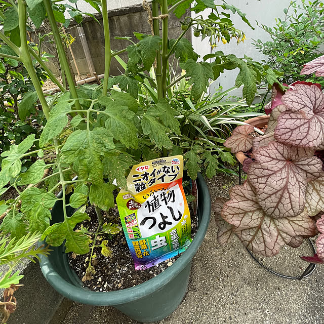 buchiさんの部屋
