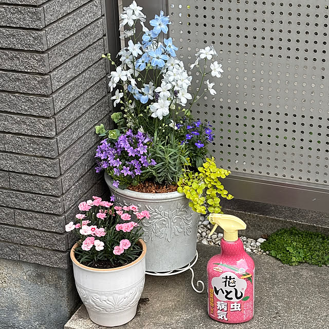 maayaさんの実例写真