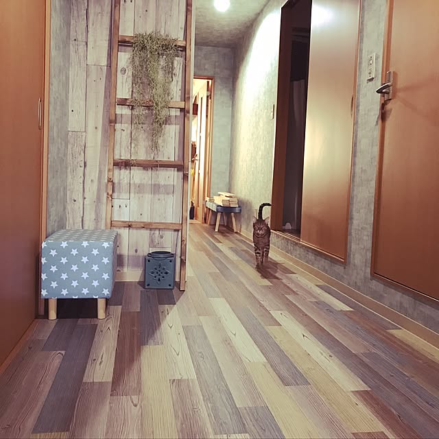 mkakk901さんの実例写真
