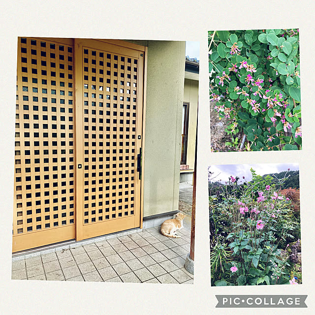 CoCo0617さんの実例写真