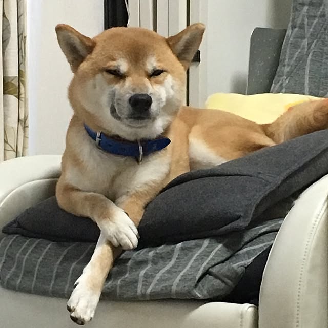 kotaさんの実例写真