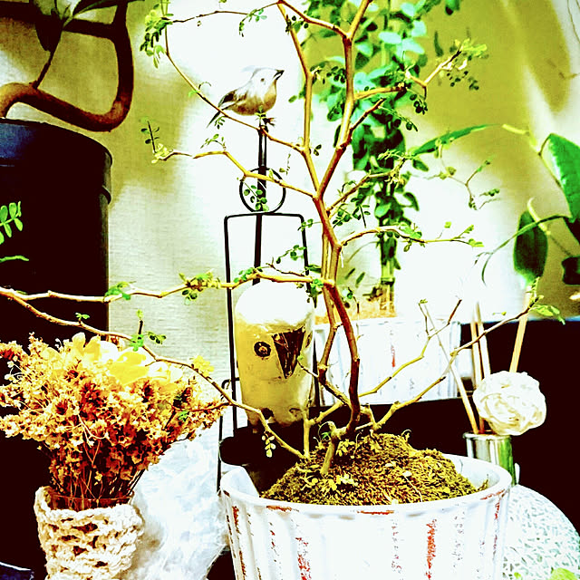 s.p.sunaoさんの実例写真