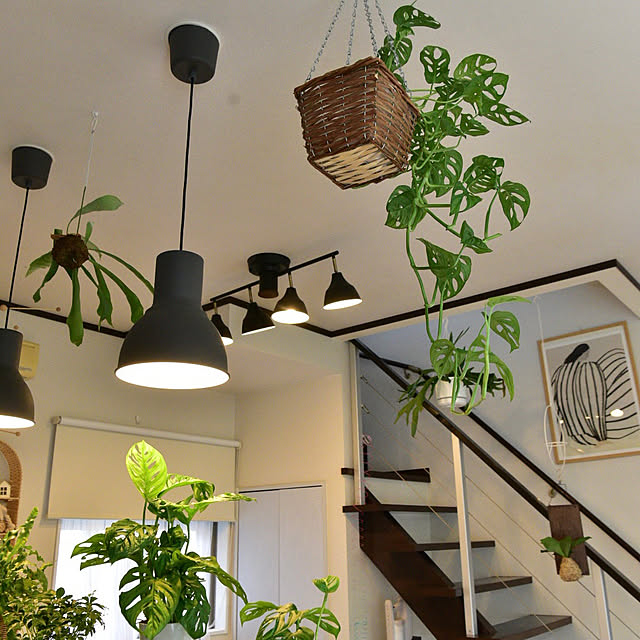 m__houseさんの部屋