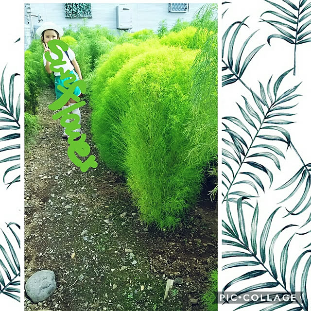 sunflowerさんの実例写真