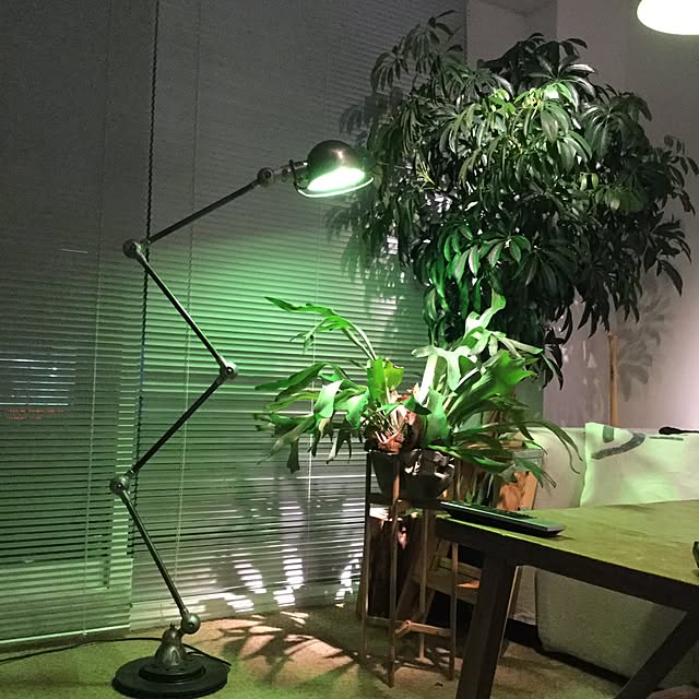 piyohopさんの実例写真