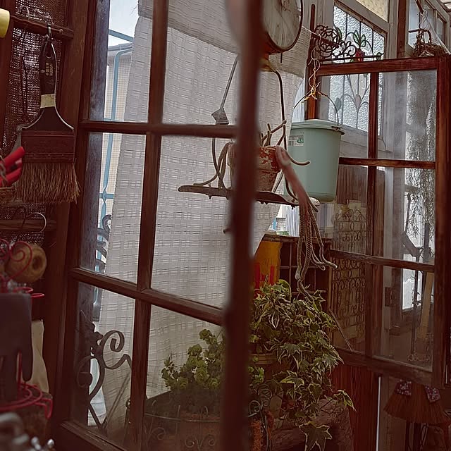 akaidarumaさんの実例写真