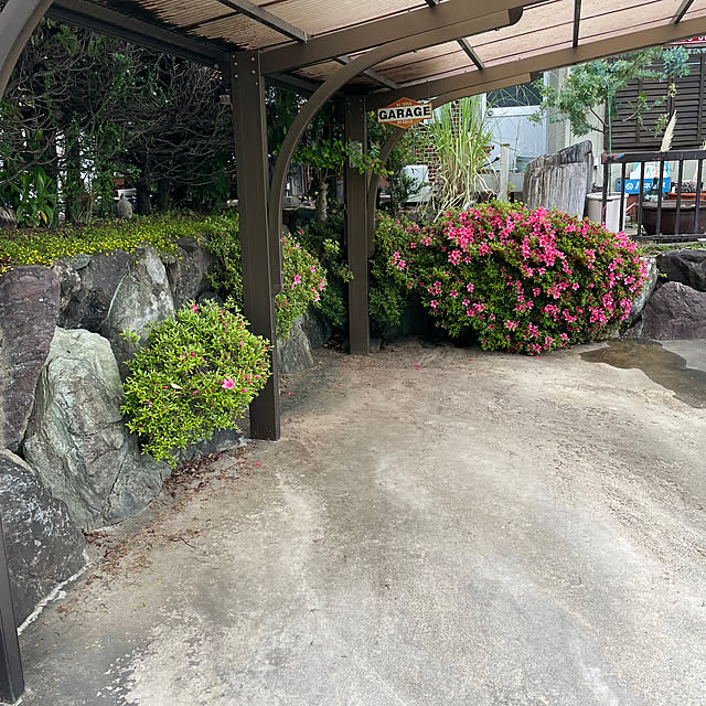 shin0719さんの実例写真