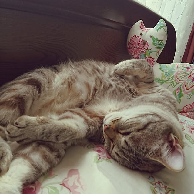 genさんの実例写真