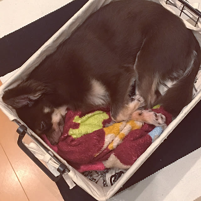 takaさんの実例写真