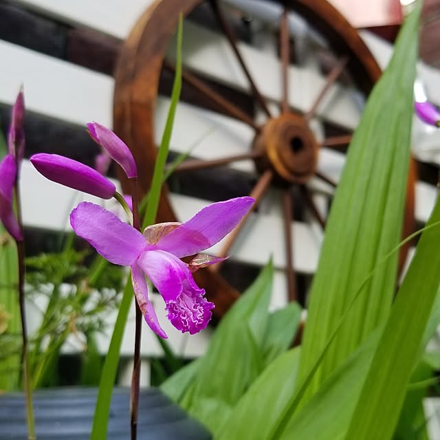 midoriさんの部屋