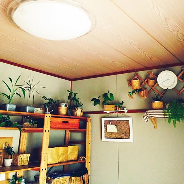 実例写真