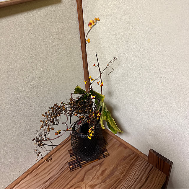 sakakenさんの実例写真