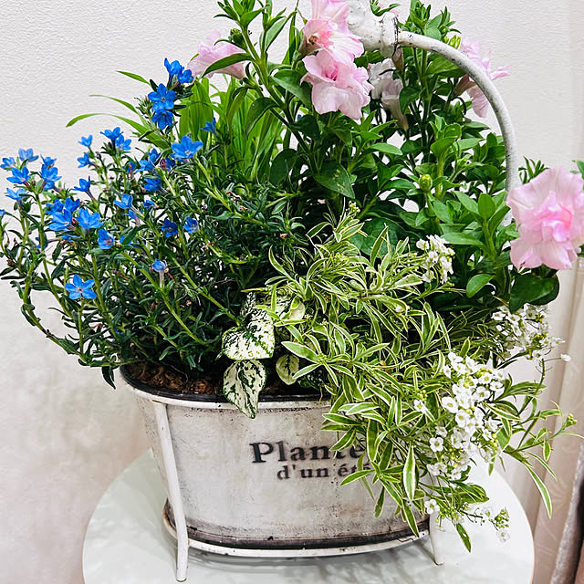 Murrさんの実例写真