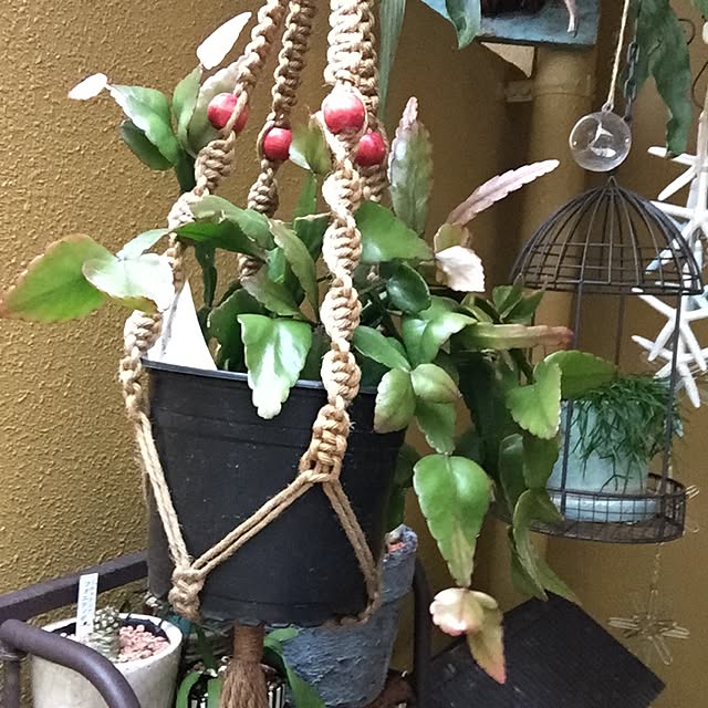 885さんの実例写真