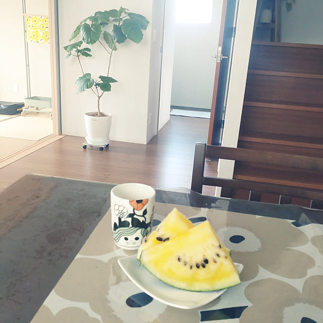 tan5さんの実例写真