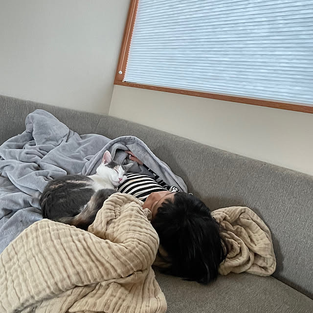 sajuさんの部屋
