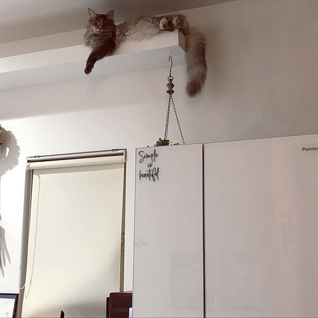 mayumiさんの実例写真