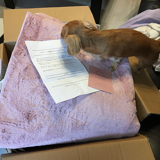 donanmamaさんの実例写真
